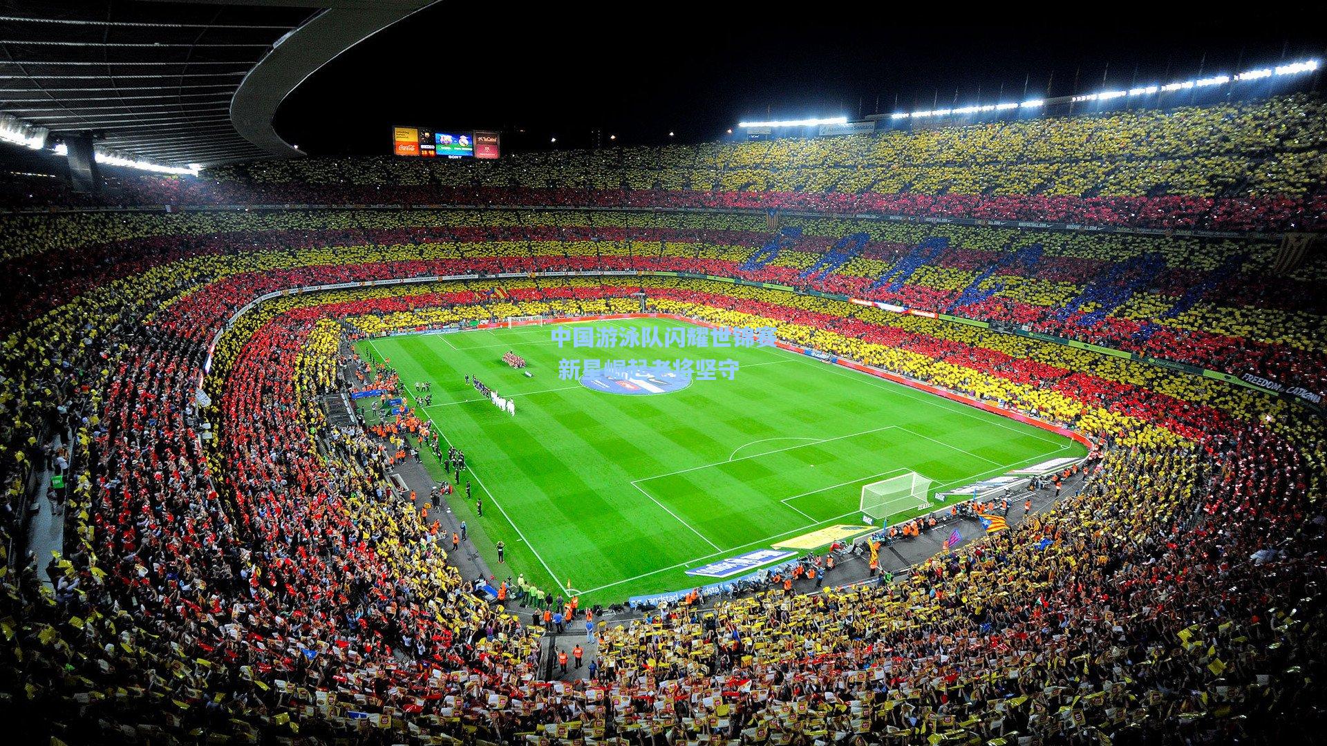 中国游泳队闪耀世锦赛 新星崛起老将坚守