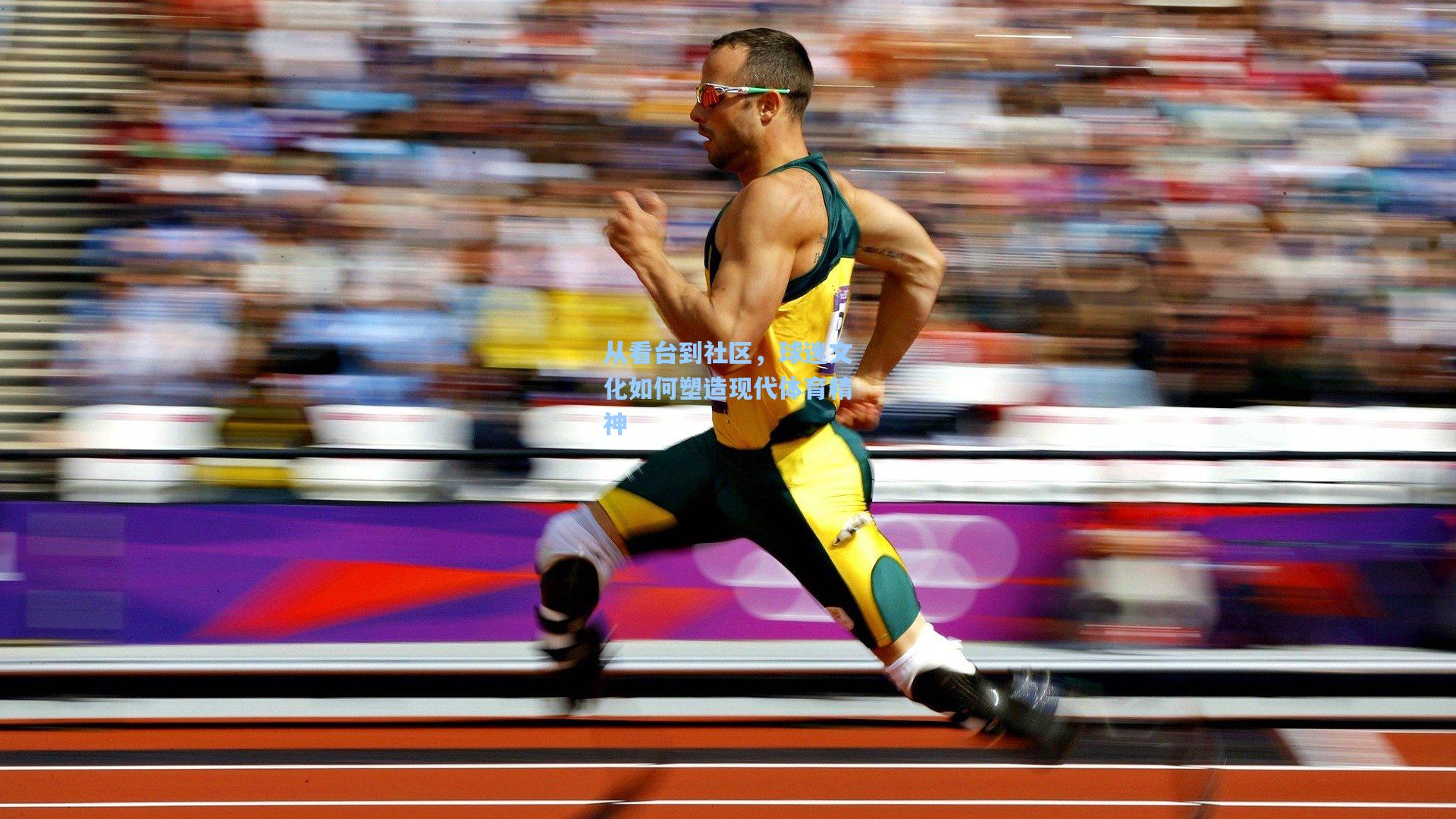 从看台到社区,球迷文化如何塑造现代体育精神