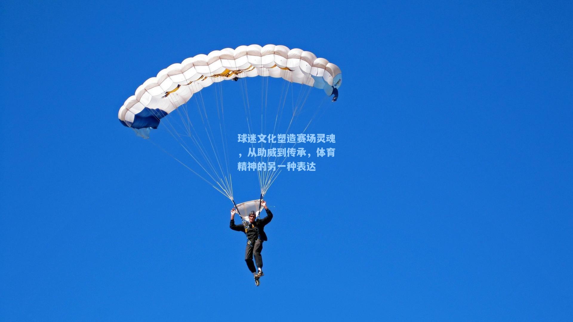 球迷文化塑造赛场灵魂，从助威到传承，体育精神的另一种表达