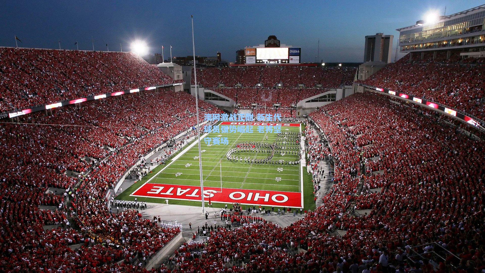 澳网激战正酣 新生代球员强势崛起 老将坚守赛场